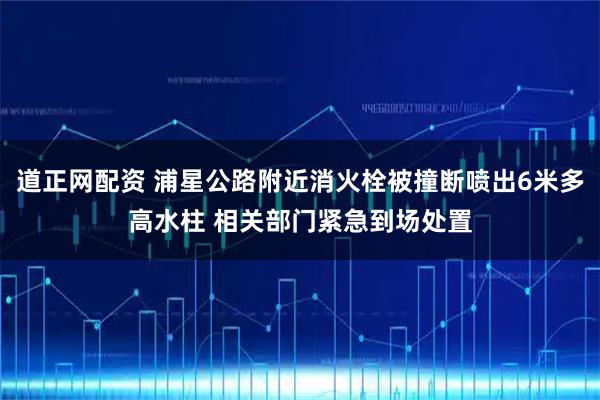 道正网配资 浦星公路附近消火栓被撞断喷出6米多高水柱 相关部门紧急到场处置