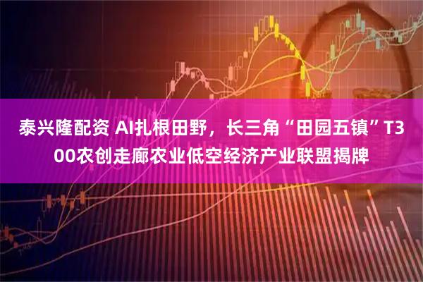 泰兴隆配资 AI扎根田野，长三角“田园五镇”T300农创走廊农业低空经济产业联盟揭牌